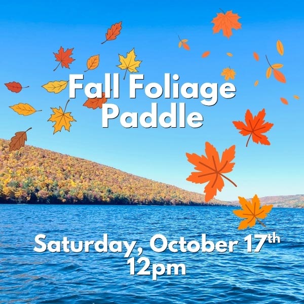 Fall Foliage