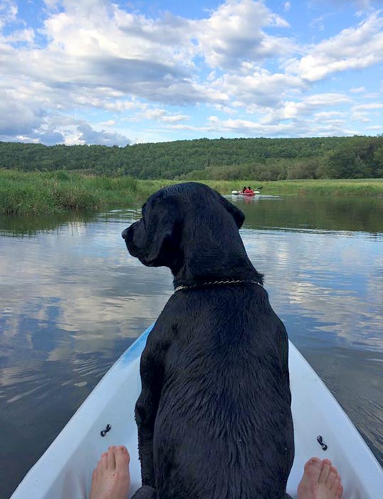 Canoeing on Candice Lake